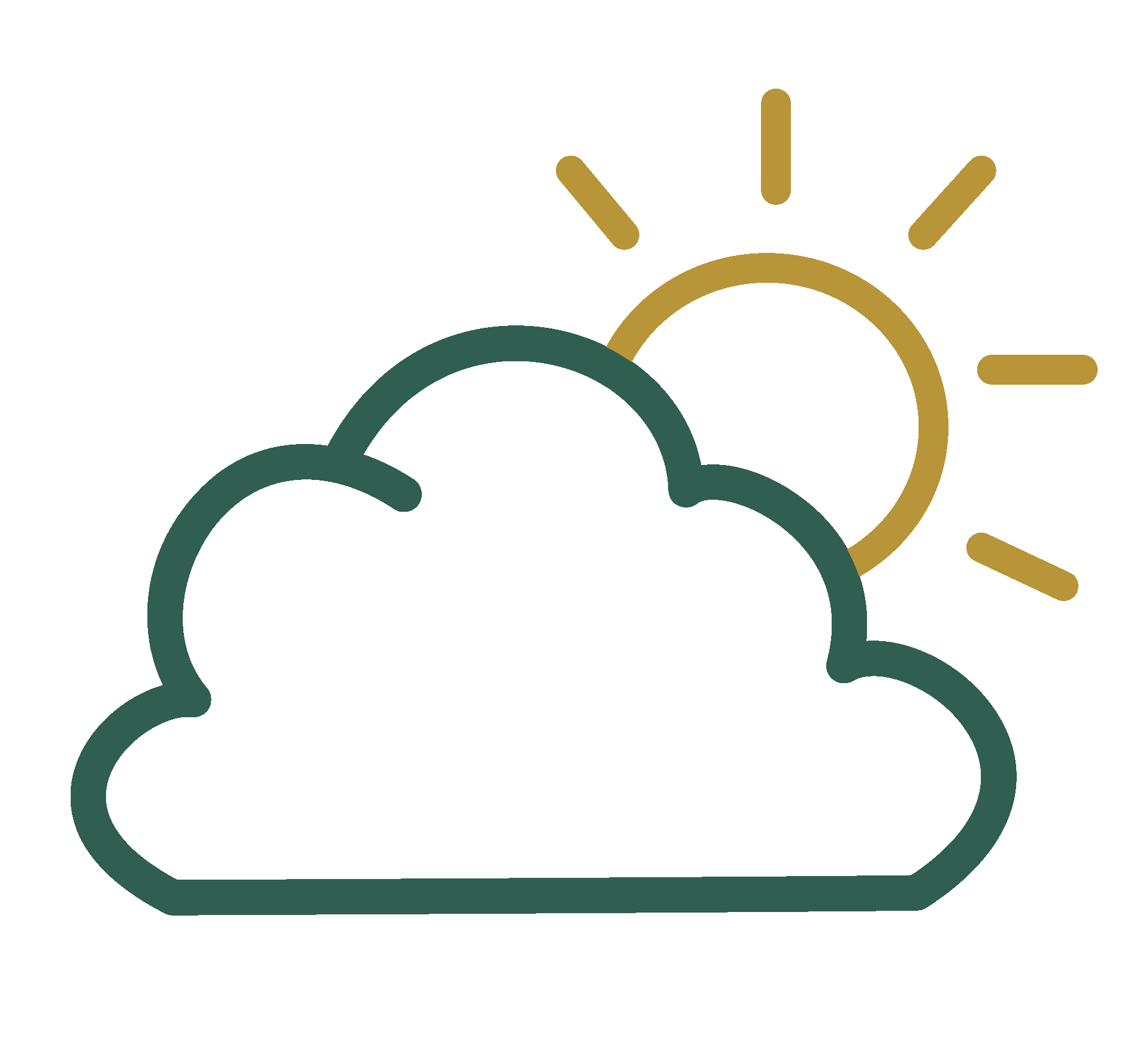 Part sun plant care icon